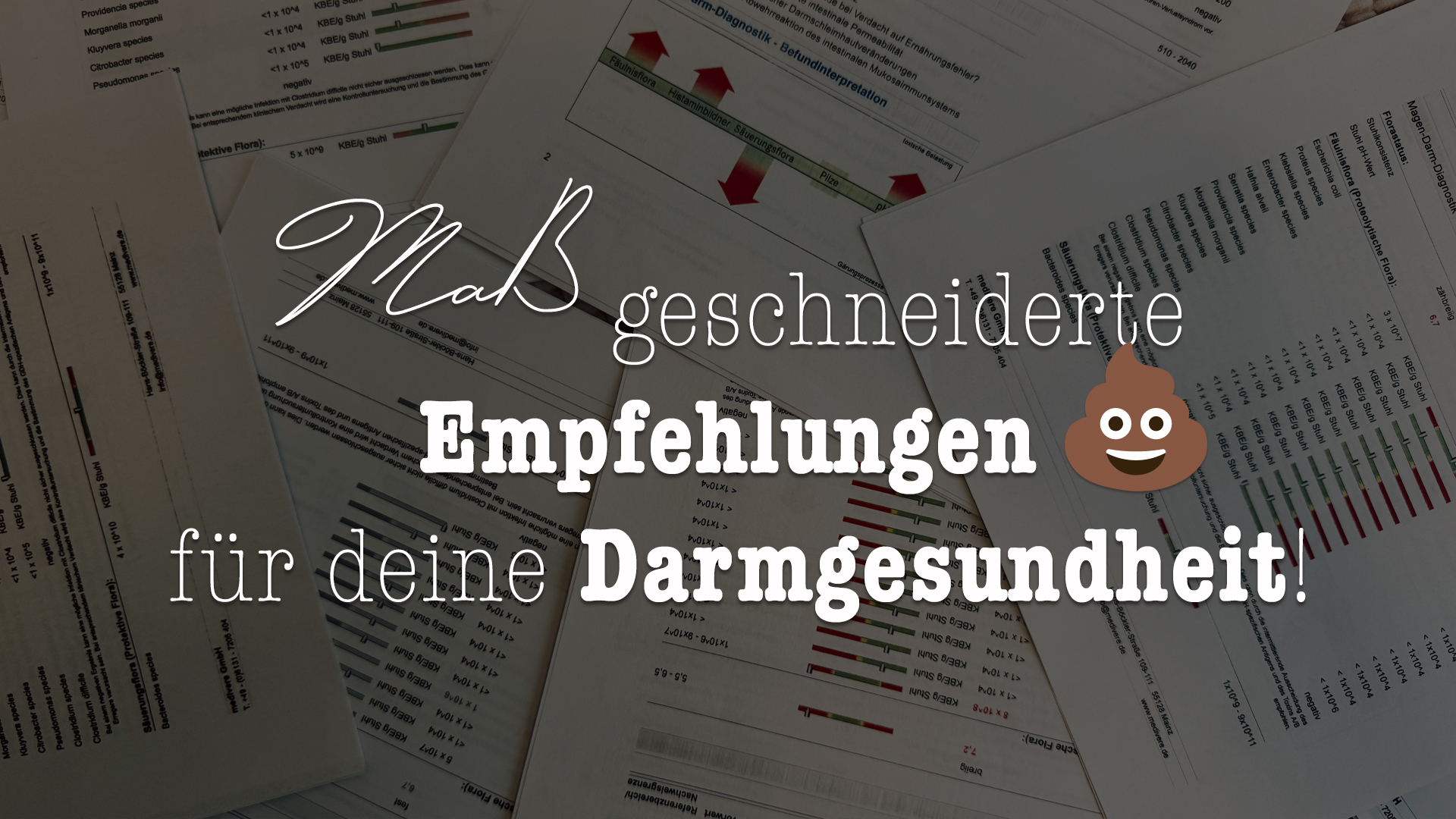 Stuhlanalyse auswertung